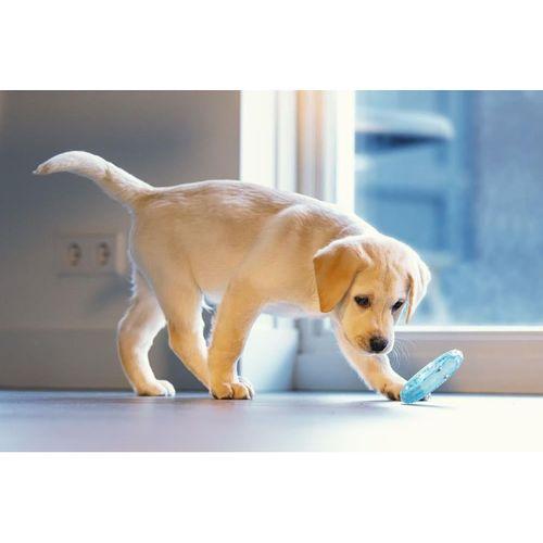 Beeztees Yavru Köpek Oyuncağı, Diş Kaşıma için Soğutulabilir, TPR, Mavi, 10x10x2,3cm