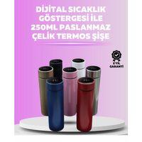 Led Sıcaklık Ölçerli 250 Ml Yalıtımlı Termos Şişe