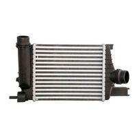 BSG Turbo Radyatörü 144961381R CLIO IV CAPTUR DOKKER DUSTER LOGAN II MCVCLIO IV CAPTUR DOKKER DUSTER LOGAN II MCV