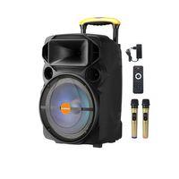 D-SOUND XP-15PA 15" TAŞINABİLİR HOPARLÖR