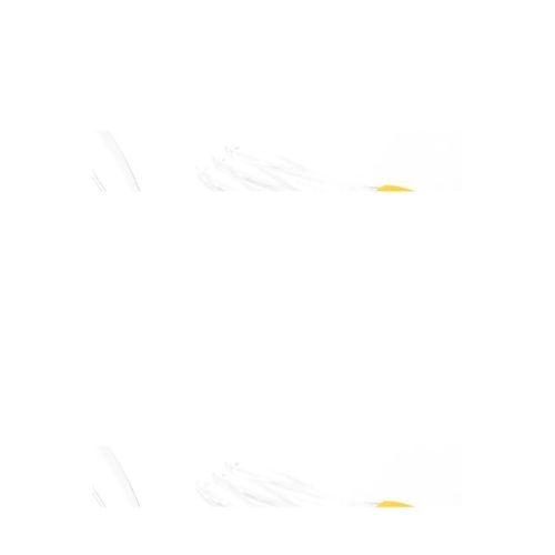 Silikon Yumurta Hamur Fırçası, Silikon Uçlu Yumurta Fırçası Renkli 1 Adet Royaleks-Alk-374