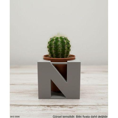 Gri Centikli Harf Seklinde Mini Dekoratif Saksi Ismine Ozel Bas Harf Tasarim Masa Ustu Ofis Dekoru 7 Cm