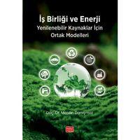 İŞ BİRLİĞİ VE ENERJİ - Yenilenebilir Kaynaklar İçin Ortak Modelleri