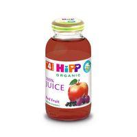 Hipp Hipp Organik Kırmızı Meyveli Elma Suyu 200 ml
