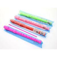 Renkli Plastik Flüt