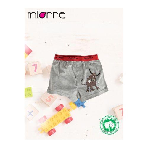 Erkek Çocuk Boxer