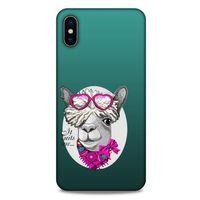 Animax Pembe Fularlı Lama Apple iPhone XS Max Kılıf Desenli Silikon