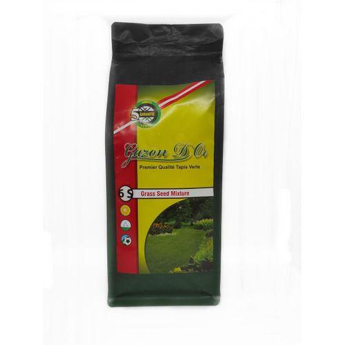 6S Dynastie Spor Alanları İçin İthal Çim Tohumu 1 kg