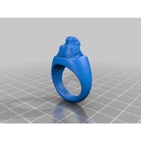 Yeniden boyutlandırma talimatları ile boksör Köpek Signet Yüzük - 5138040