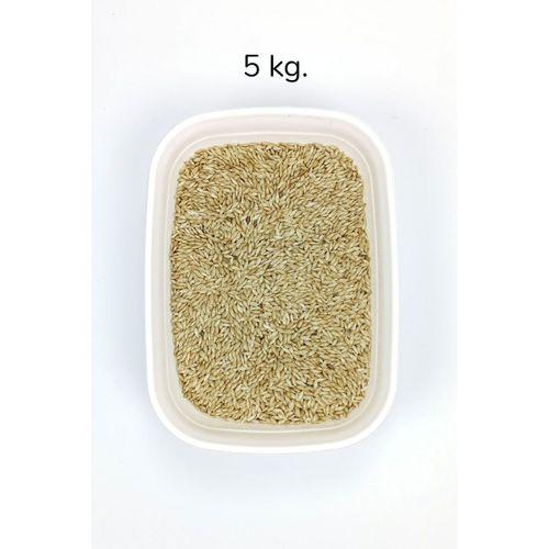 Doğal Taze Kanarya Sade Kuş Yemi - 5 kg