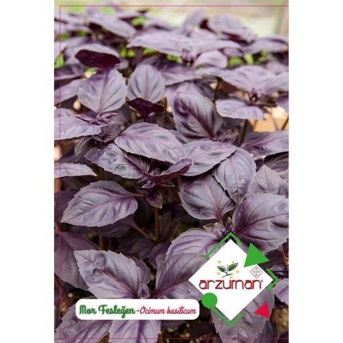 Mor Fesleğen (Reyhan) Tohumu 100 Adet