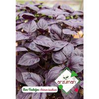 Mor Fesleğen (Reyhan) Tohumu 100 Adet