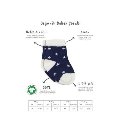 Bistyle Bistyle 3'Lü Penye Cute Stars Soket Çorap BS10115 Lacivert