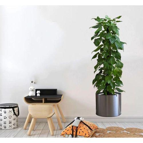 Eğitici Oyuncak Saksılı Bitki Tasarımlı Yapışkanlı Sticker Resim 90*30 cm MC-665