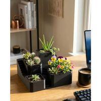 3d Baskı Kaktüs Ve Sukulent Saksı Seti Çok Katlı Şık Ev Ofis Dekoru