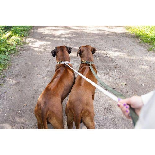 Beeztees DBL Köpek Tasması, Kadife, Gri, 48-70cm, 25mm