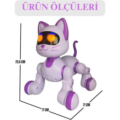 SH40194 U/K DANS EDEN ROBOT KEDİ