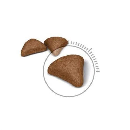 Royal Canin Hairball Uzun Tüylü Yetişkin Kuru Kedi Maması 2 Kg