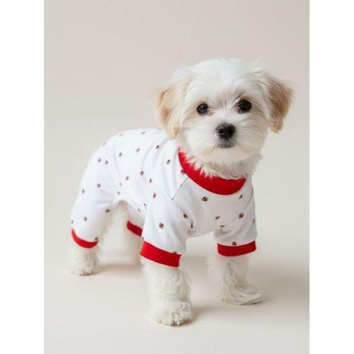 Berry Köpek Tulumu | Pamuklu Penye Köpek Pijaması | Küçük Irklar İçin | Tüy Dökülmesini Azaltır