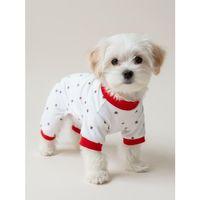 Berry Köpek Tulumu | Pamuklu Penye Köpek Pijaması | Küçük Irklar İçin | Tüy Dökülmesini Azaltır