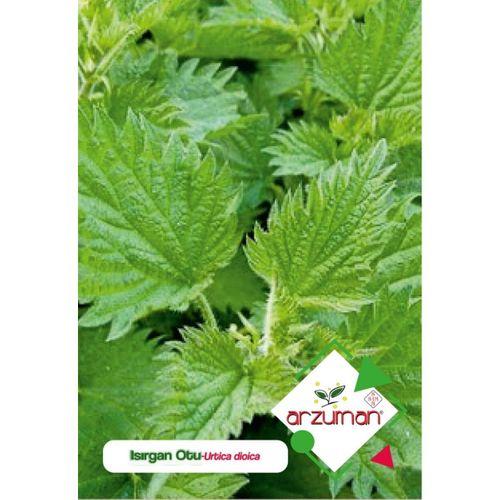 Doğal Isırgan Otu Tohumu (100 Adet)