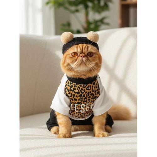 Leo Paw Kedi Tulumu & Bere Takımı | Penye Kumaş | Tüy Dökülmesini Azaltır