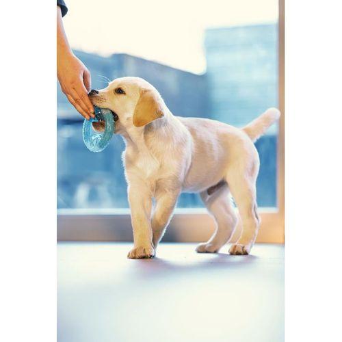 Beeztees Yavru Köpek Oyuncağı, Diş Kaşıma için Soğutulabilir, TPR, Mavi, 10x10x2,3cm