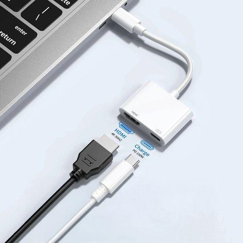 Zore Type-C to Type-C PD100W + HDMI 4K@30Hz 2in1 Adaptör