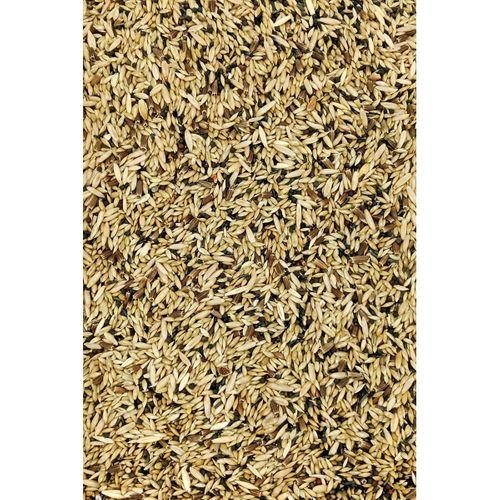 Kanarya Karışık Kuş Yemi Doğal Taze - 500 gr