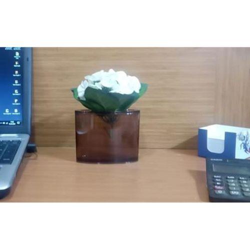 2 Adet Vazo Dahil,Vazoda Çiçek,Beyaz Yapay Çiçek,Vazo Dekoratif  Oval Kahverengi 13X5X15Cm