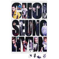 Choi Seung Hyun Puzzle 240 Parça Yapboz