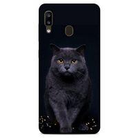 Lopard Samsung Galaxy A20 Uyumlu Kılıf Kediler (47) Crystal Flex Kılıf Scottish Fold