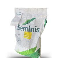 Seminis Ribera Oturak Fasulye Tohumu 1 kg