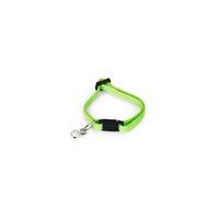 Beeztees Yavru Kedi Boyun Tasması, Zilli, Parlak Yeşil, 15-22cm