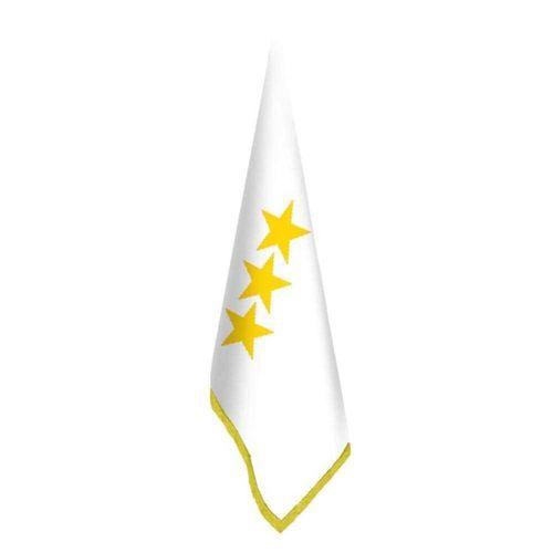 Ak Hun İmp. Bayrağı-(17 Türk Devletleri) -ofis -makam-toplantı Odaları - Saçaklı Makam Bayrağı