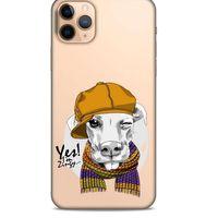 Zoologix (28) Apple iPhone 12 Pro Şeffaf Kılıf Silikon Desenli