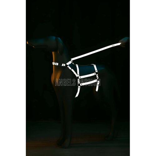 Reflektörlü - Ayarlanabilir Köpek Harness - Köpek Gezdirme Aparatı