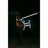 Reflektörlü - Ayarlanabilir Köpek Harness - Köpek Gezdirme Aparatı