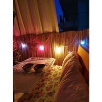 özgazi 120 Cm X 5 M Kamış Hasır Bahçe Çiti Gölgelik