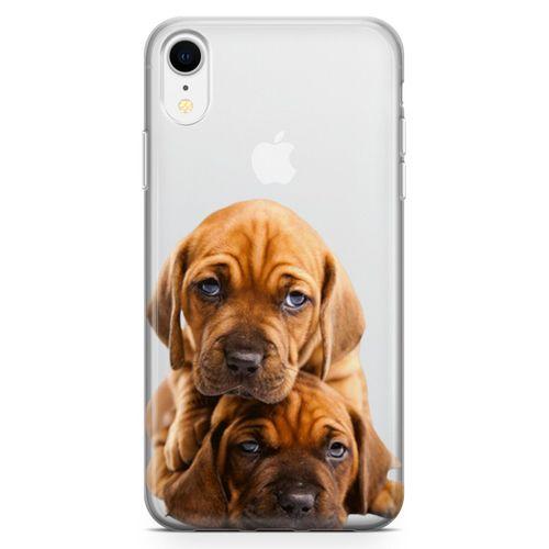Apple iPhone XR Kılıf Amstaff Dachshund Arka Kapak Koruma Desenli Full Koruyucu