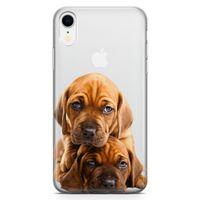 Apple iPhone XR Kılıf Amstaff Dachshund Arka Kapak Koruma Desenli Full Koruyucu