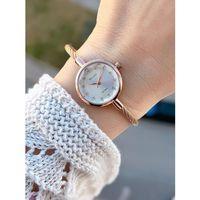 Ferrucci Küçük Kasa Vintage Seri 2 Yıl Garantili Yeni Sezon 3Atm Dayanıklı Kadın Kol Saati FR1142.M3