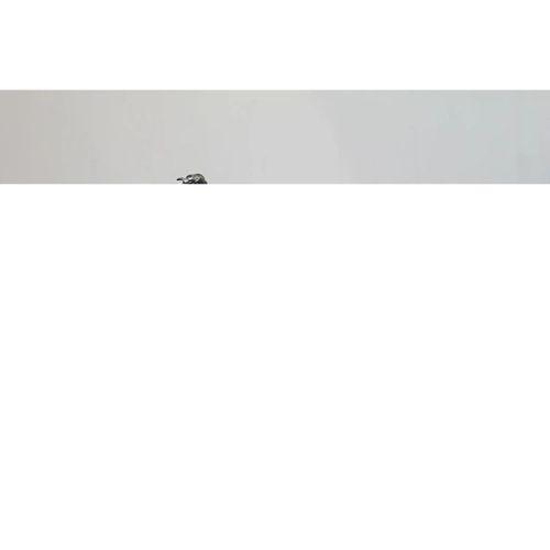 Harley Metal Motor Rızk9