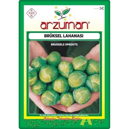 Brüksel Lahanası Tohumu (200 Adet)