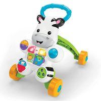 Fisher Price Fisher Price Melodili Zebra Yürüteç DLD80