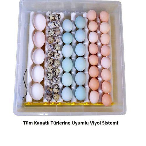 Kaz Yumurtası Uyumlu Kuluçka Makinesi
