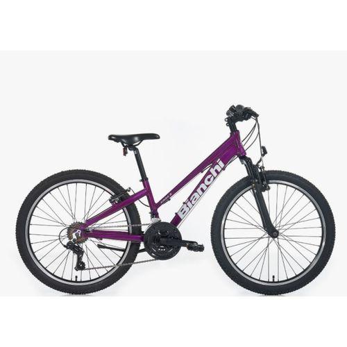 Bianchi XR24.3 24 Jant Dağ Bisikleti Mürdüm-Gri