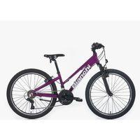 Bianchi XR24.3 24 Jant Dağ Bisikleti Mürdüm-Gri