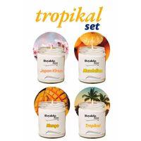 4 Adet Doğal Özel Seri Kokulu Dekoratif Kavanoz Mum 4X210 cc - Tropikal Set - RYL