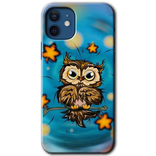 iPhone 12 HD Baskılı Kılıf + 9D Tam Ekran Koruyucu - Owl Bird Stars